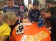 Выставка в краеведческом музее Екатеринбурга