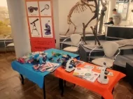 Микромир в музее природы.